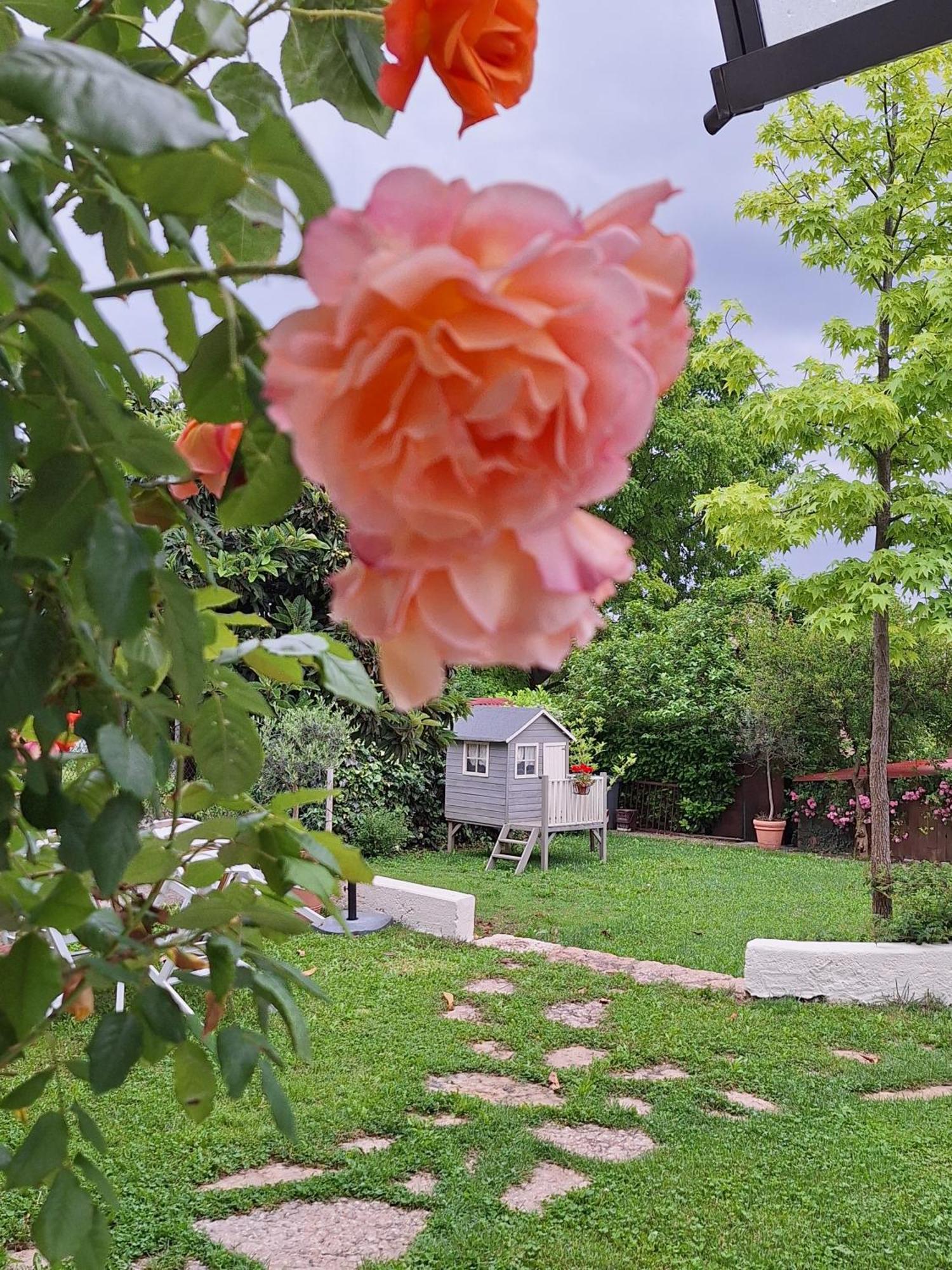 Appartamento Casa Paola Borso del Grappa Esterno foto