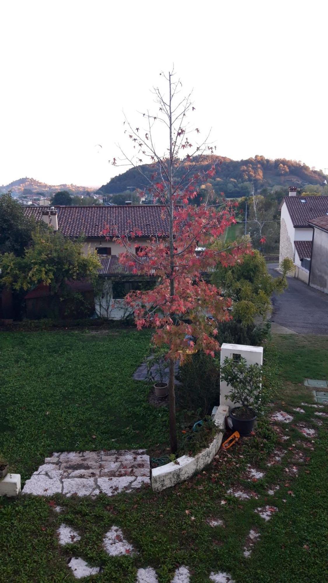 Appartamento Casa Paola Borso del Grappa Esterno foto