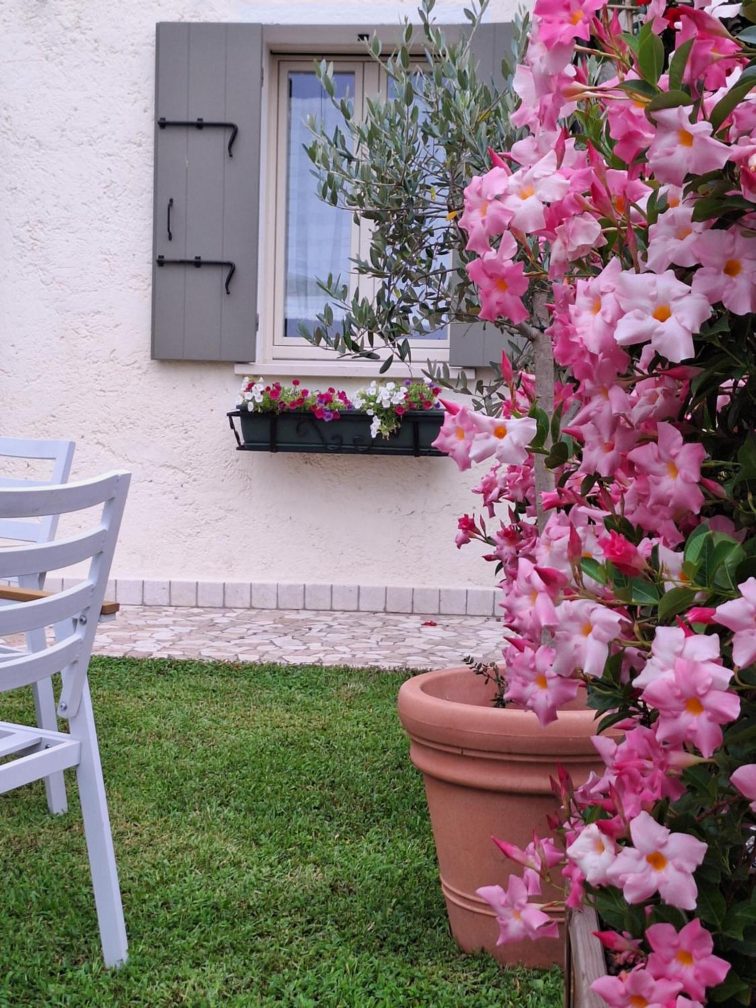 Appartamento Casa Paola Borso del Grappa Esterno foto