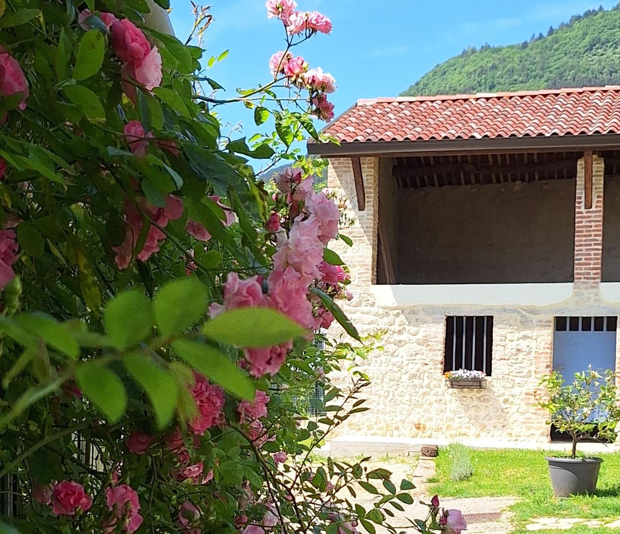 Appartamento Casa Paola Borso del Grappa Esterno foto